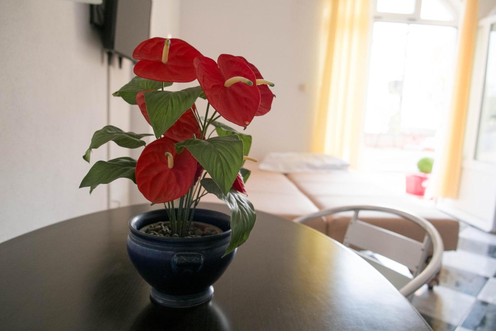Apartments Damjanovic Makarska Room photo